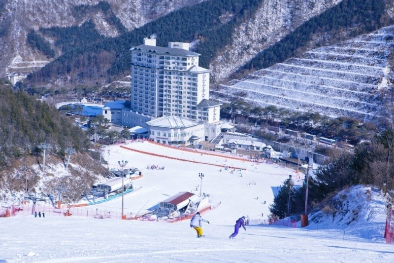 ELYSIAN GANGCHON SKI RESORT (12/25)
