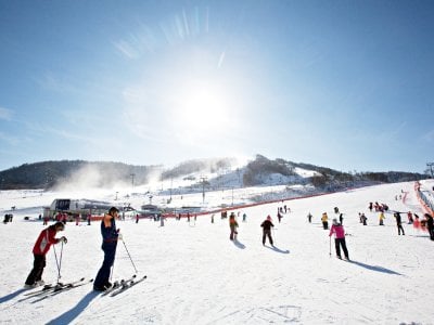 The Moment Winter Reaches Perfection: An Elite Guide to Gangwon State’s Winter Wonderland