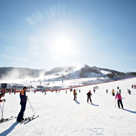 The Moment Winter Reaches Perfection: An Elite Guide to Gangwon State’s Winter Wonderland