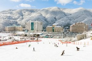 Vivaldi Park Ski Resort
