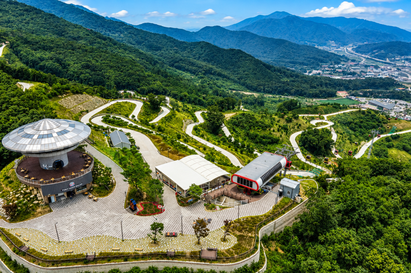 Ganghwa Island DMZ Peace One-Day Tour (41/41)